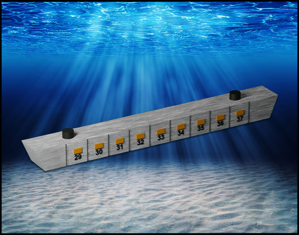 Poseidon Memorial Reef
